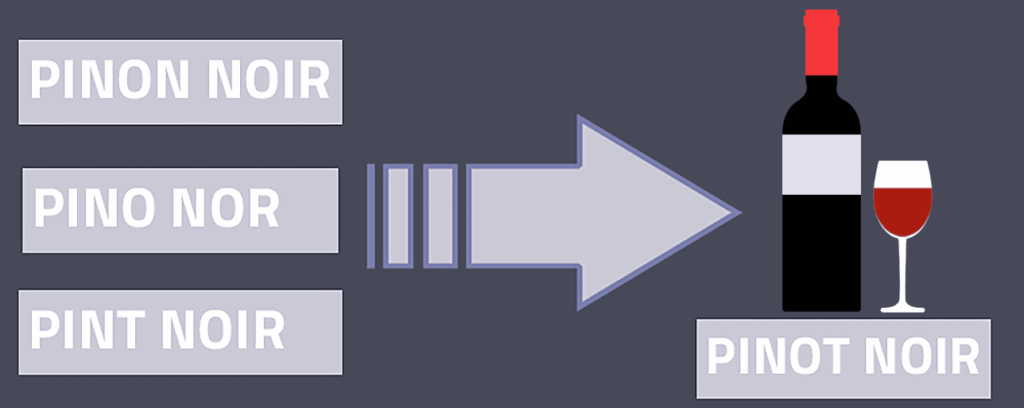 What is Fuzzy Search? fuzzy search meaning